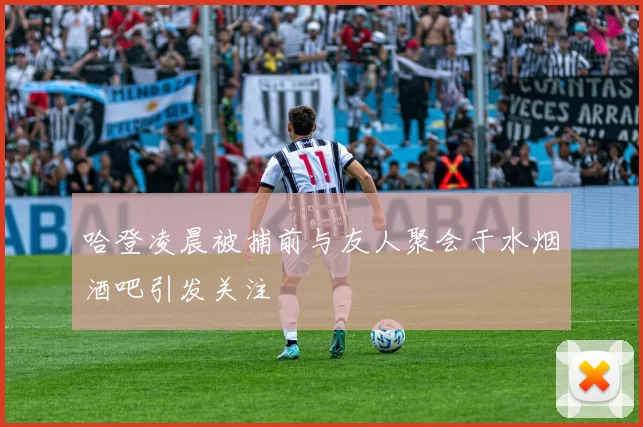 哈登凌晨被捕前与友人聚会于水烟酒吧引发关注