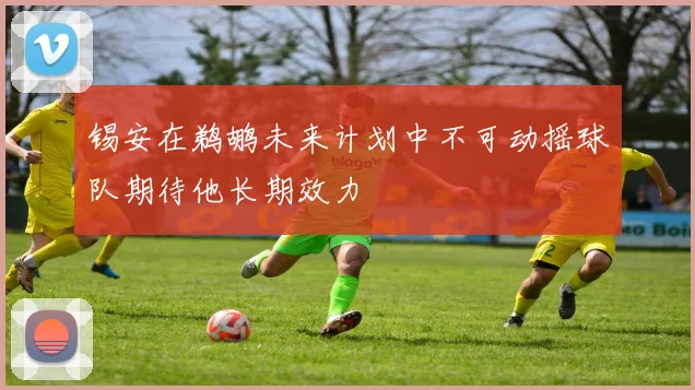 锡安在鹈鹕未来计划中不可动摇球队期待他长期效力